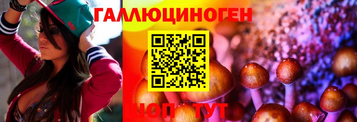 Галлюциногенные грибы прущие грибы Гусь-Хрустальный